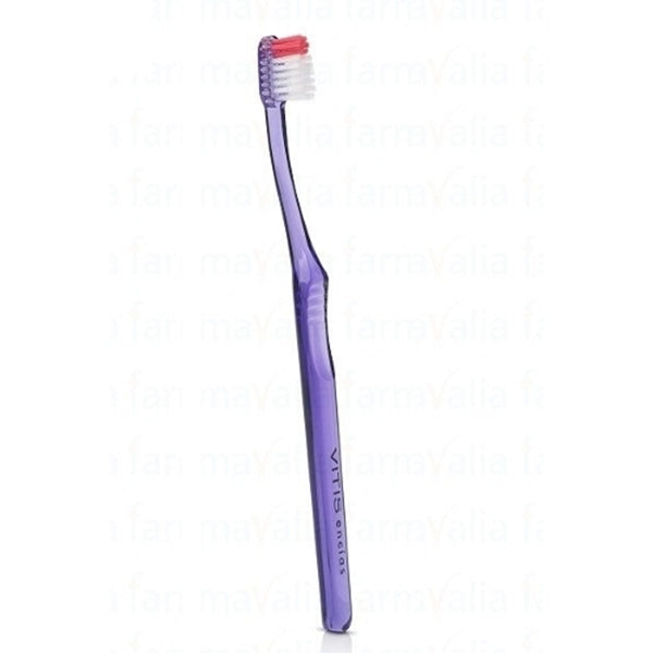 VITIS Gingival Toothbrush (Cellowrap)