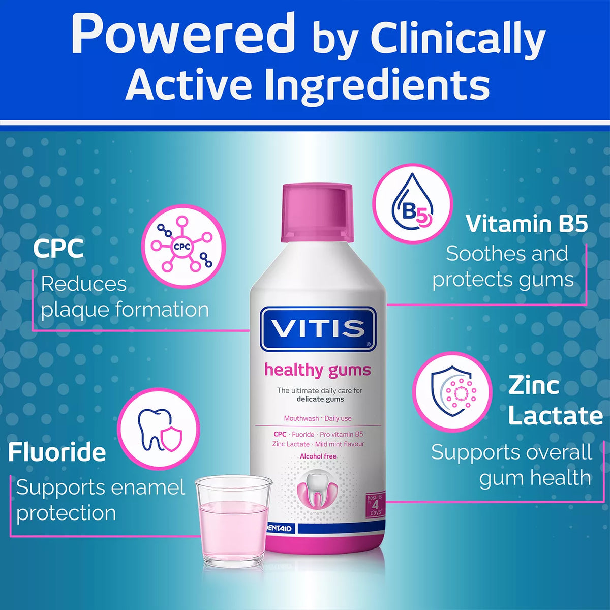 VITIS Healthy Gums Mouthwash