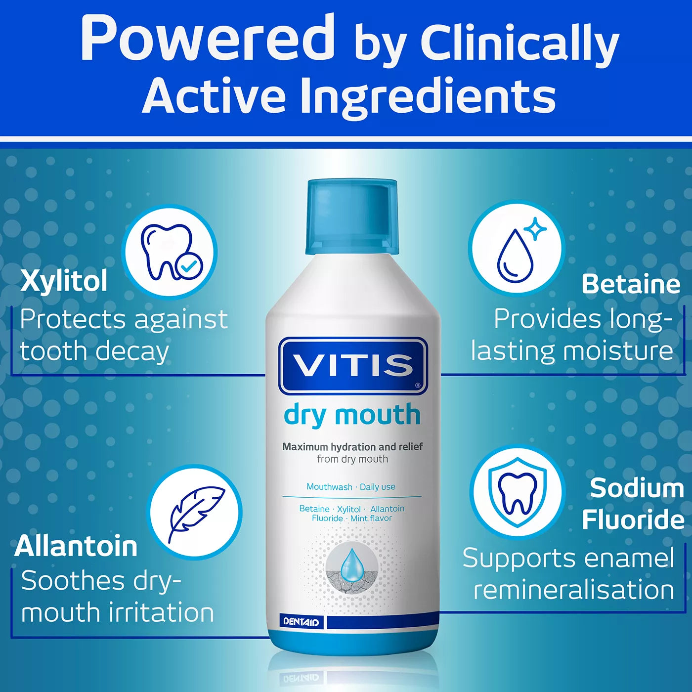 VITIS Dry Mouth Toothpaste & Mouthwash Bundle