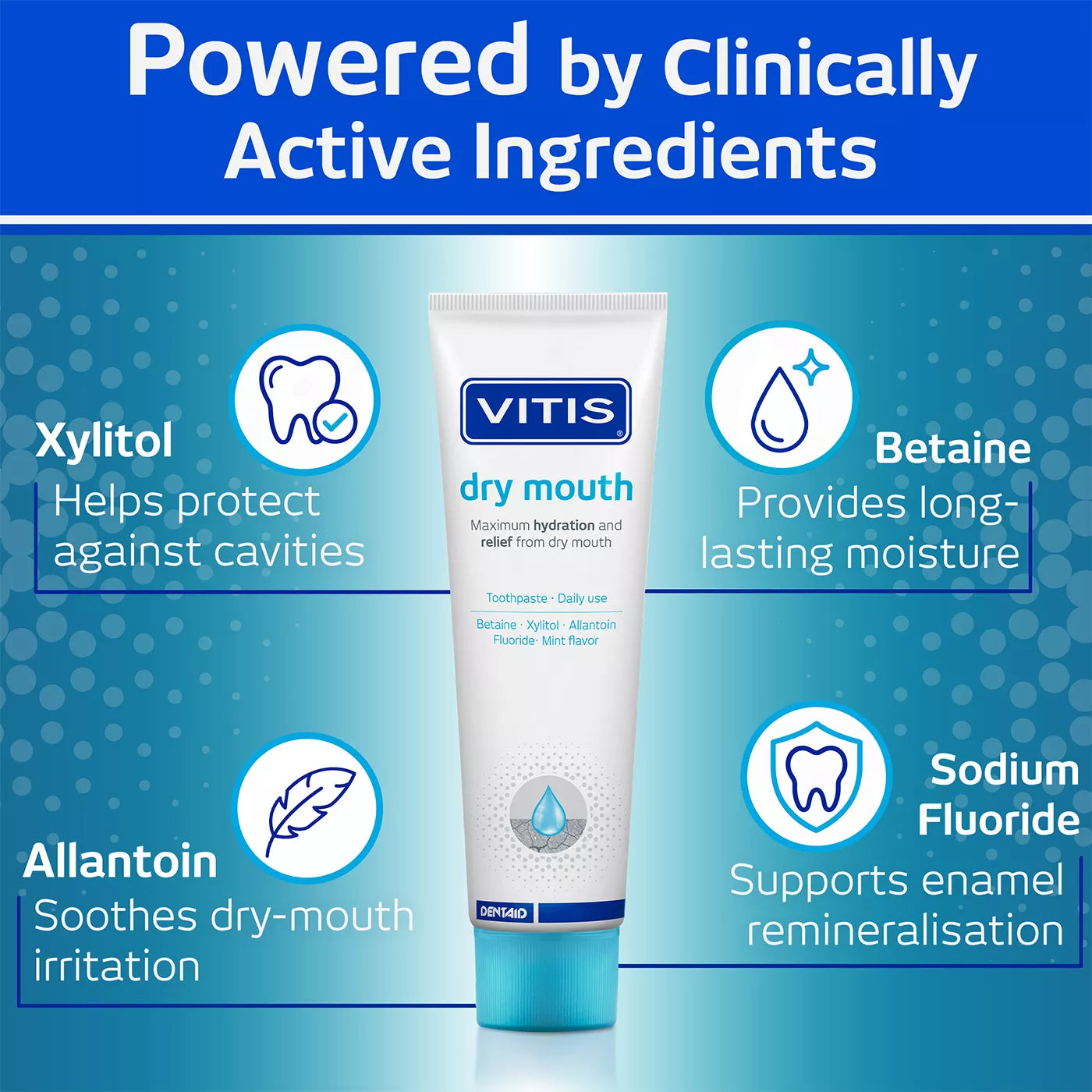 VITIS Dry Mouth Toothpaste & Mouthwash Bundle