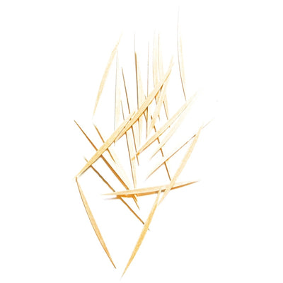 Eco-Friendly Wisdom Fresh Effect Wood Dental Floss Sticks - image